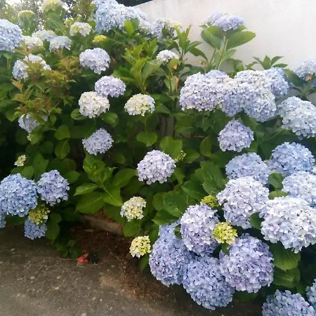 Апартаменты Comfortable With Mountain View - 90 M² - Fireplace Urqueira