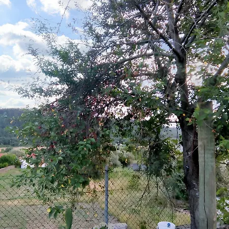 Apartment Comfortable With Mountain View - 90 M² - Fireplace