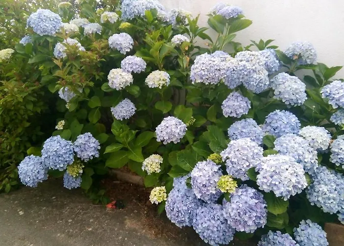 Appartement Comfortable With Mountain View - 90 M² - Fireplace Urqueira