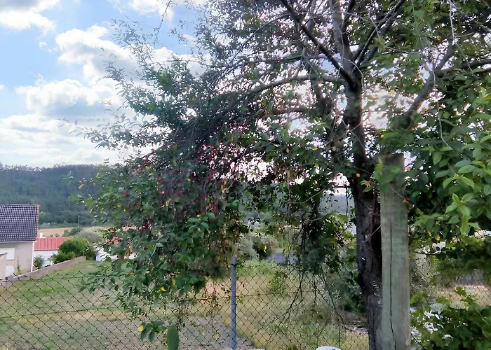 Comfortable With Mountain View - 90 M² - Fireplace *